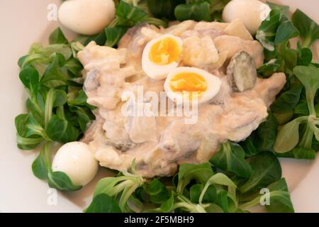Salade de poisson viennoise au hareng mariné appelé Heringsschmaus, Wiener Heringssaplat ou Fischsalat en Autriche, servie avec de la laitue d'agneau et de l'œuf de caille Banque D'Images