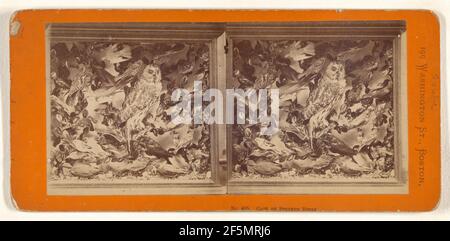 Boîte d'oiseaux farcis. John P. Soule (américain, 1827 - 1904) Banque D'Images