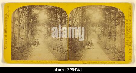 Avenue menant à l'église. Sandringham, Angleterre. London Stereoscopic and Photographic Company Banque D'Images