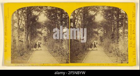 Avenue menant à l'église. Sandringham, Angleterre. London Stereoscopic Company (actif 1854 - 1890) Banque D'Images