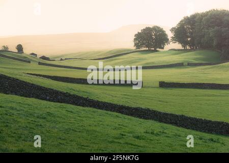 Lumière dorée et brumeuse sur les vieux murs en pierre et les collines ondulantes De la campagne rurale anglaise paysage pastoral à Swaledale de La Nation des Dales du Yorkshire Banque D'Images