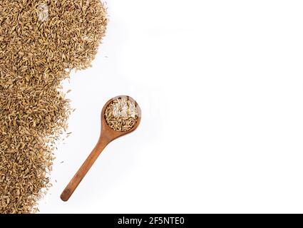 Foenicule vulgare - graines de fenouil séchées dans une cuillère en bois Banque D'Images