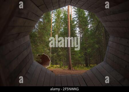 Drôle d'homme fait grand tube parlant en bois en harmonie avec la nature sur le sentier de randonnée en forêt (emplacement Estonie). Banque D'Images