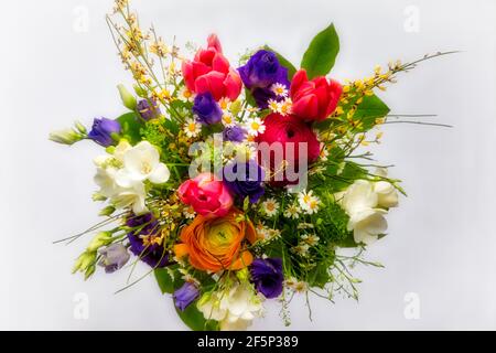 CONCEPT FLORAL : bouquet de fleurs de printemps sur fond blanc propre Banque D'Images