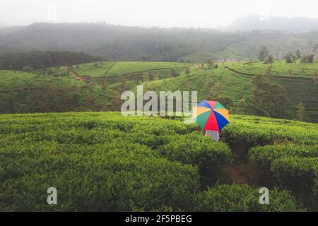 Vue sur le paysage d'un visiteur avec un parasol coloré un jour pluvieux dans la campagne de plantation de thé en terrasse à Nuwarya Eliya au Sri Lanka colline cou Banque D'Images