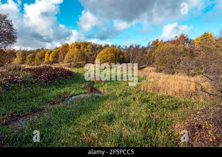 Les couleurs d'automne sur les canaux écossais disused possédaient Monkland Canal près Calderbank dans Lanarkshire Scotlanld Royaume-Uni où canal vesssel Vulcan a été construit Banque D'Images