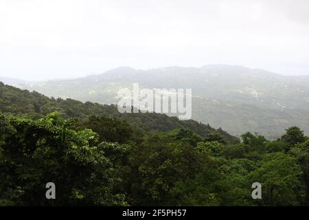 Vue sur le couvert forestier et les montagnes vallonnées de Sainte-Lucie depuis la forêt tropicale de Babonneau. Banque D'Images