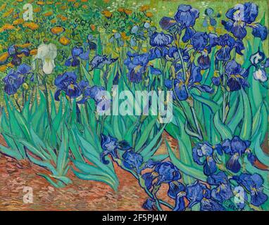 Iris. Vincent van Gogh (néerlandais, 1853 - 1890) Banque D'Images