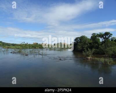 La rivière Rio Iguazu, Brésil Banque D'Images