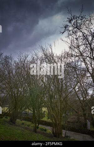 Ciel gris orageux au-dessus de la petite exploitation de moorland et des bois à 900ft Banque D'Images