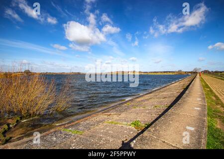 Regardez Alton Water à Suffolk, au Royaume-Uni Banque D'Images