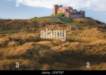 Vue sur le château historique de Bamburgh depuis les longues dunes herbeuses en lumière dorée sur la côte nord-est de l'Angleterre, Northumberland. Banque D'Images