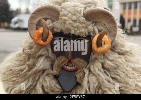 Masqué Busó avec deux beignets sur les cornes assiste au carnaval de Busójárás sur le mardi Farsang à Mohács dans le comté de Baranya, en Hongrie. Célébration traditionnelle annuelle masquée du groupe ethnique Šokci tenue à la fin de la saison du carnaval (Farsang) dans le sud de la Hongrie. Banque D'Images