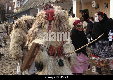 Les Busós masqués se préparent à la procession de carnaval dans la cour de l'une des maisons du centre-ville sur le Farsang mardi pendant le carnaval de Busójárás à Mohács dans le comté de Baranya, en Hongrie. Célébration traditionnelle annuelle masquée du groupe ethnique Šokci tenue à la fin de la saison du carnaval (Farsang) dans le sud de la Hongrie. Banque D'Images