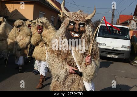 Masqué Busós marcher dans le centre-ville le samedi Farsang pendant le carnaval de Busójárás à Mohács dans le comté de Baranya, Hongrie. Célébration traditionnelle annuelle masquée du groupe ethnique Šokci tenue à la fin de la saison du carnaval (Farsang) dans le sud de la Hongrie. Banque D'Images