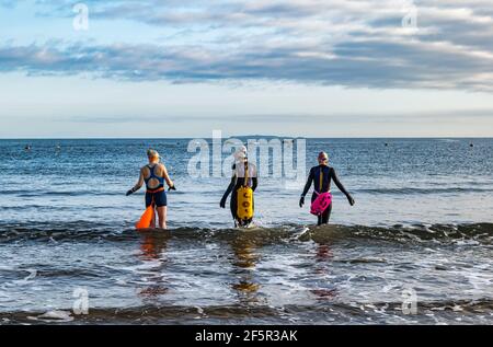 Des nageurs de femmes sauvages ou en eau libre portant des combinaisons avec des flotteurs de flottabilité entrent dans le Firth of Forth Sea, North Berwick, East Lothian, Écosse, Royaume-Uni Banque D'Images