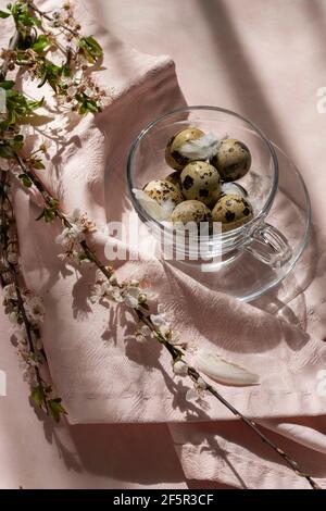 Décorations de Pâques - oeufs de caille dans une tasse de thé sur la table, avec branche de prune de fleur Banque D'Images