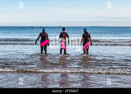 Des nageurs de femmes sauvages ou en eau libre portant des combinaisons avec des flotteurs de flottabilité entrent dans le Firth of Forth Sea, North Berwick, East Lothian, Écosse, Royaume-Uni Banque D'Images