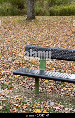 Banc vide dans la ville ou le parc de la ville à l'automne feuilles sur l'herbe Banque D'Images