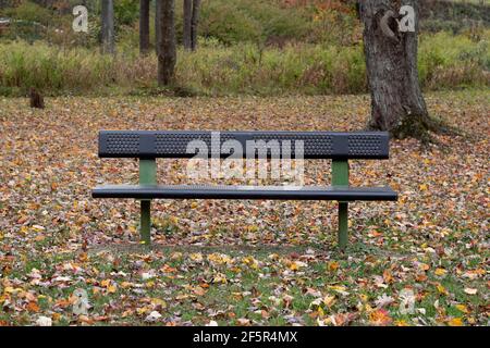 Banc vide dans la ville ou le parc de la ville à l'automne feuilles sur l'herbe Banque D'Images