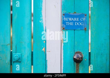 Attention au panneau indiquant un chien sur la porte en bois bleu de la maison Banque D'Images
