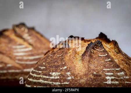 Deux pains de pain de levain, avec une faible profondeur de champ Banque D'Images