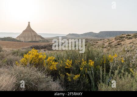 Vue sur le désert de Bardenas Reales dans le nord de l'Espagne avec La falaise de Castildetierra et les fleurs sauvages jaunes Banque D'Images