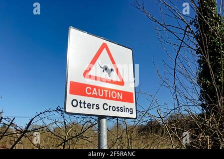Warminster, Wiltshire, Royaume-Uni - février 28 2021 : un signe de prudence Otters Crossing à la réserve naturelle de Smallbrook Meadows à Warminster, Wiltshire, Angleterre Banque D'Images