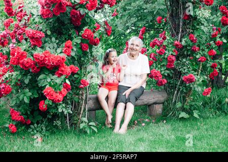 une fille de cinq ans gaie rit sur un banc avec un vieille grand-mère dans le jardin près des rosiers Banque D'Images