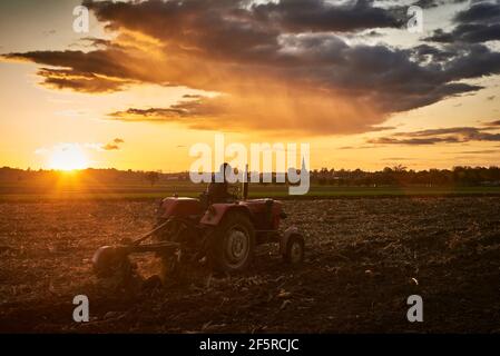 Silhouette d'un tracteur travaillant sur un champ au coucher du soleil. Pologne Banque D'Images