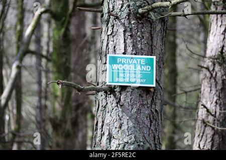 Forêt privée sans signe d'accès public Grande-Bretagne Banque D'Images