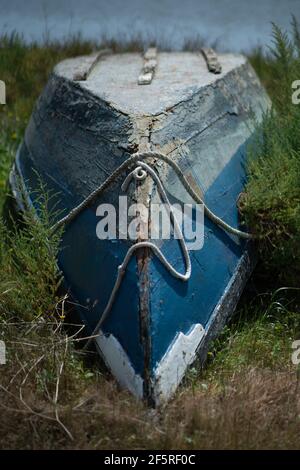 Un plan vertical avec une faible profondeur de champ d'un bateau de pêche bleu avec peinture écaillée retourné sur la rive entourée de verdure, wi Banque D'Images