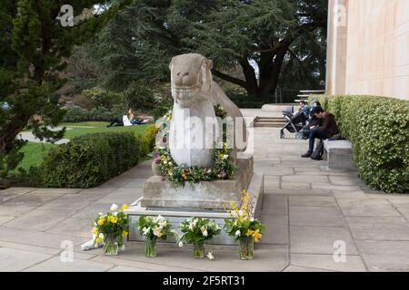 Seattle, Washington, États-Unis. 27 mars 2021. Des offrandes florales ornent une sculpture chinoise de chameau en l'honneur des victimes des fusillades d'Atlanta à un mémorial du Seattle Asian Art Museum. Le musée accueille un week-end « Top Asian Hate Community Memorial » en solidarité avec les communautés asiatiques américaines, insulaires du Pacifique et immigrants asiatiques dans le sillage de la violence raciale croissante. Crédit : Paul Christian Gordon/Alay Live News Banque D'Images