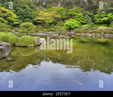 Ohori Park Japanese Garden dans la ville de Fukuoka, au Japon Banque D'Images