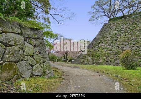 Les ruines du château de Fukuoka sont situées dans le parc de Maizuru, nommé d'après l'alias du château, le château de Maizuru, construit en 1603. Fukuoka, Japon, 04-07-2015 Banque D'Images