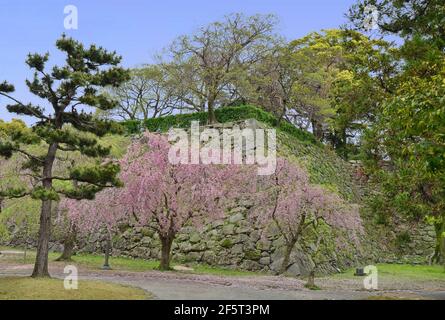 Les ruines du château de Fukuoka sont situées dans le parc de Maizuru, nommé d'après l'alias du château, le château de Maizuru, construit en 1603. Fukuoka, Japon, 04-07-2015 Banque D'Images