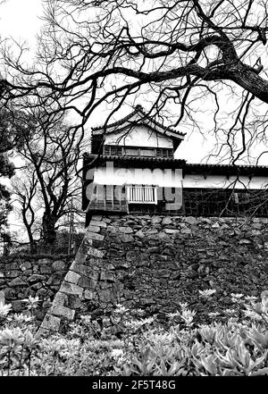 Les ruines du château de Fukuoka sont situées dans le parc de Maizuru, nommé d'après l'alias du château, le château de Maizuru, construit en 1603. Fukuoka, Japon, 04-07-2015 Banque D'Images