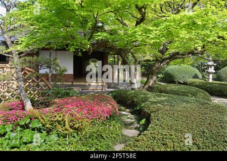 Jardin et salon de thé Shofuen, ville de Fukuoka, Japon. Site de Shofuso, la résidence du célèbre Zenpachi Tanakamaru. Banque D'Images