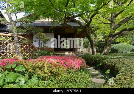 Jardin et salon de thé Shofuen, ville de Fukuoka, Japon. Site de Shofuso, la résidence du célèbre Zenpachi Tanakamaru. Banque D'Images