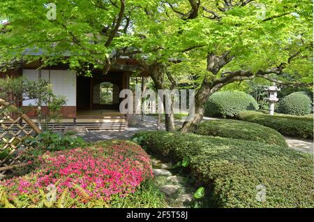 Jardin et salon de thé Shofuen, ville de Fukuoka, Japon. Site de Shofuso, la résidence du célèbre Zenpachi Tanakamaru. Banque D'Images