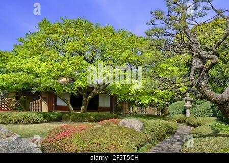 Jardin et salon de thé Shofuen, ville de Fukuoka, Japon. Site de Shofuso, la résidence du célèbre Zenpachi Tanakamaru. Banque D'Images