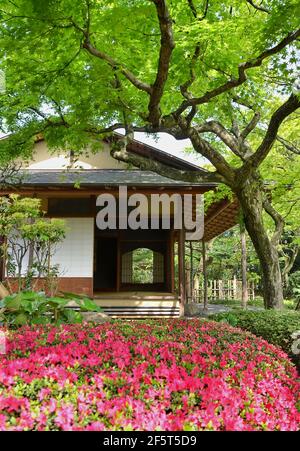 Jardin et salon de thé Shofuen, ville de Fukuoka, Japon. Site de Shofuso, la résidence du célèbre Zenpachi Tanakamaru. Banque D'Images