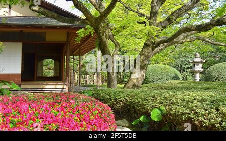 Jardin et salon de thé Shofuen, ville de Fukuoka, Japon. Site de Shofuso, la résidence du célèbre Zenpachi Tanakamaru. Banque D'Images