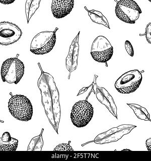 Motif de lychee sans couture dessiné à la main. Illustration vectorielle dans le style d'esquisse botanique Illustration de Vecteur