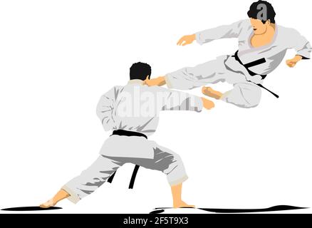 Sports de combat orientaux. Karaté. Illustration vectorielle 3d colorée Illustration de Vecteur