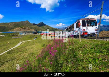 Train touristique en roue à crémaillère descendant de la gare de montagne sur le chemin de fer escarpé, Jungfraujoch, Kleine Scheidegg, Oberland bernois, Suisse, Euros Banque D'Images