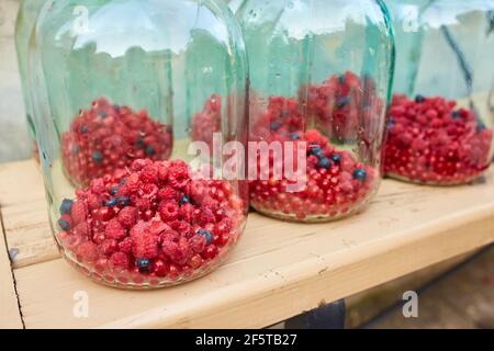 Bocaux en verre non scellés avec framboises et raisins de Corinthe, préparés pour la mise en conserve. Préparation de compote maison Banque D'Images