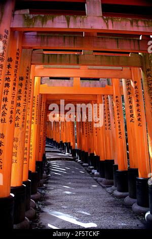 Fushimi Inari Taisha est le principal sanctuaire dédié au kami Inari, le sanctuaire est situé à la base d'une montagne également appelée Inari Banque D'Images