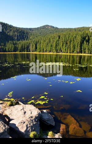 Lac Moraine Grosser Arbersee dans le parc national de la forêt bavaroise. Allemagne. Banque D'Images