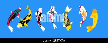 Collection Koi Carp. Vue de dessus. Illustration de Vecteur